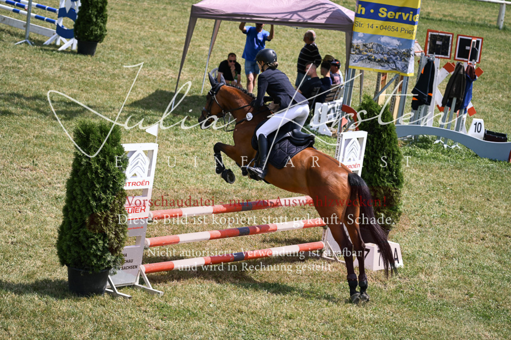 DSC_9518 | Pferde- und Turnierfotografie in Westsachsen. Pferdeportraits, Auftragszeichnungen und intuitive Kunst.