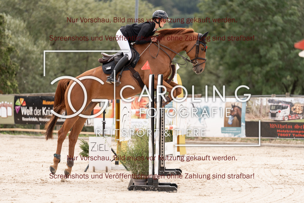 DSC06443 | Springturnier_Teamchallege_Talheim_2026, Vera_Haas, Argo_65