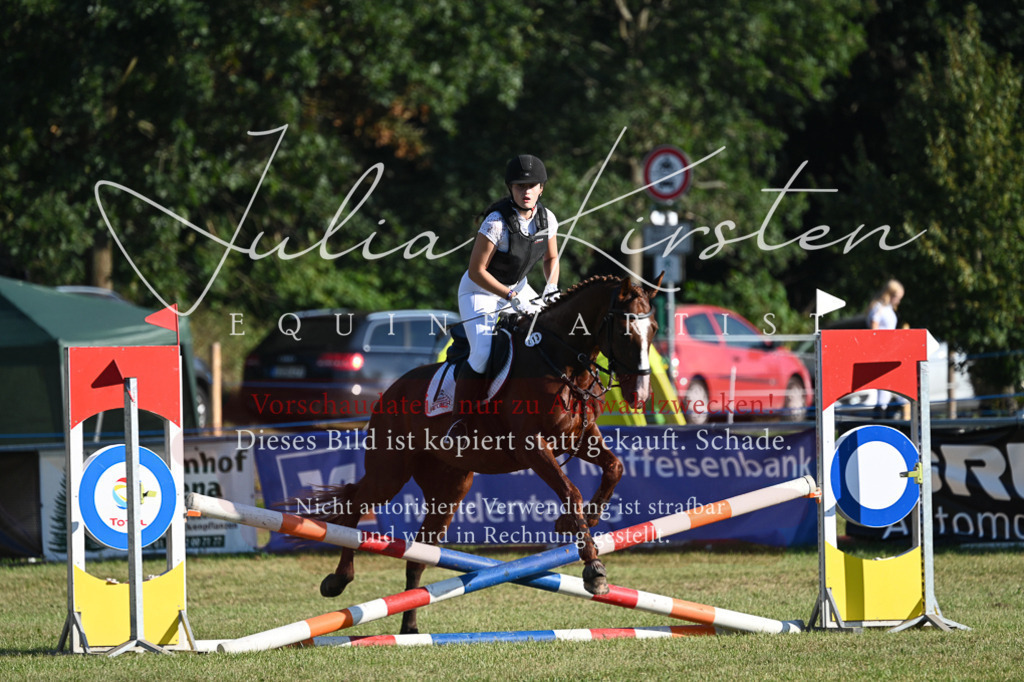 DSC_4696 | Pferde- und Turnierfotografie in Westsachsen. Pferdeportraits, Auftragszeichnungen und intuitive Kunst.