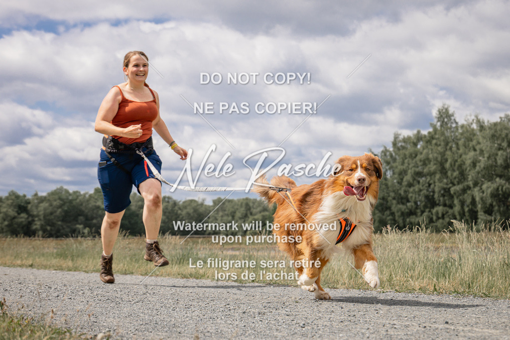 nelerasche_BuHu2026_SaCC1100-1200_202 | nelerasche