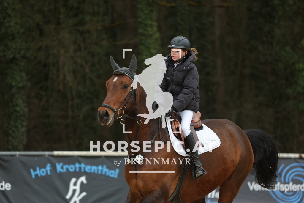 0P6A4252 | Willkommen bei Brunnmayr - Design & Fotografie – Ihrem Spezialisten für Reitturniere und Pferdeveranstaltungen in Oberösterreich, Salzburg und Bayern! Seit über 17 Jahren sind wir leidenschaftlich dabei.