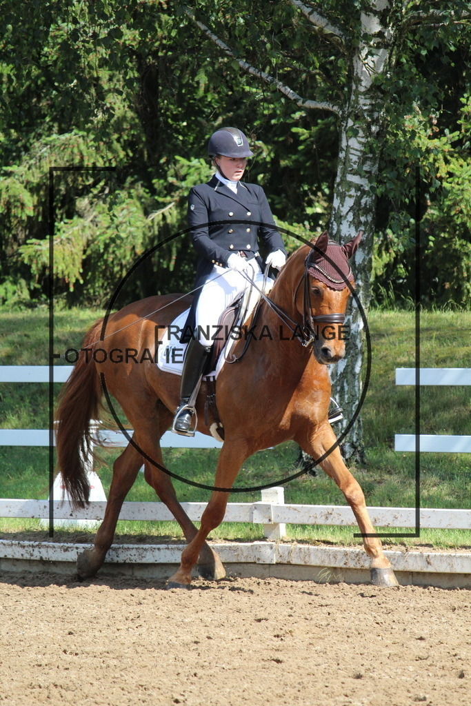 IMG_7014 | franziskalange - Realisiert mit Pictrs.com