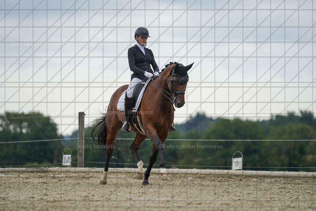 20230826-FAH06219 | Forstinning, 2023, Dressurturnier, Turniersportbilder, Turnierfotografen Bayern, Fotoagentur Herrmann, Reitsportfotografie, Turnierbilder