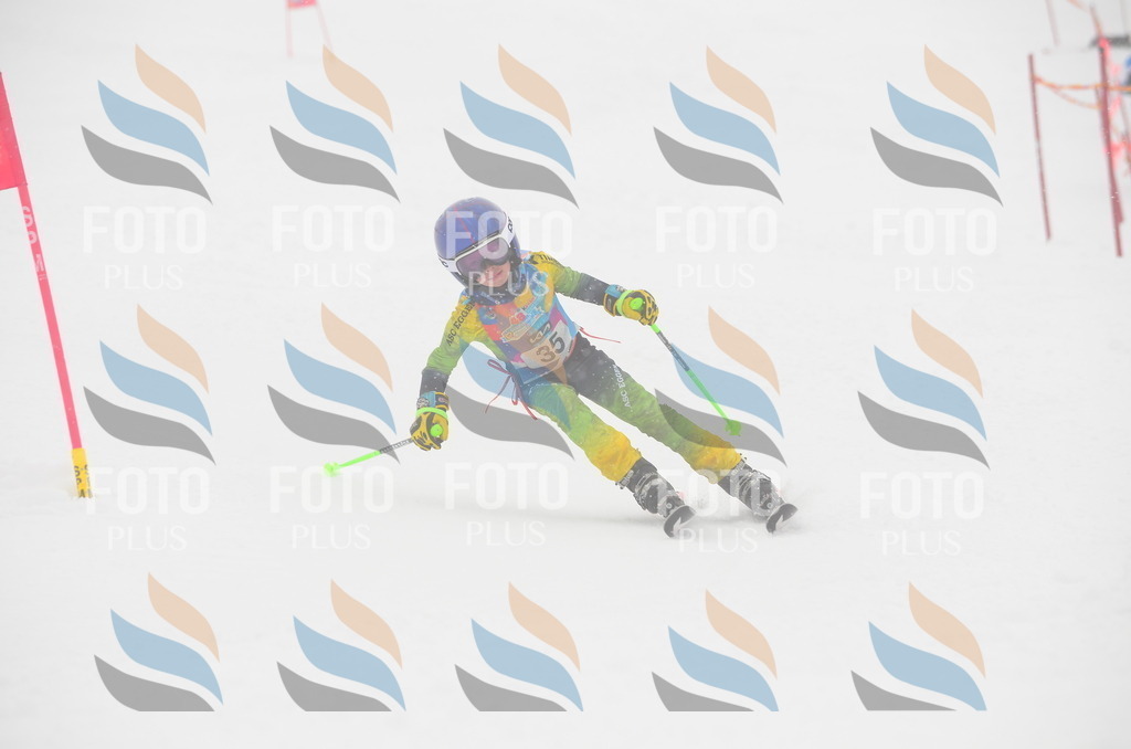 C0799 | holidayphoto