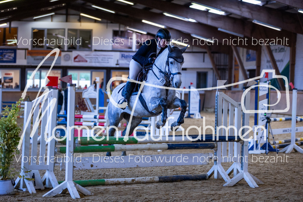 Sth-Gewöhnung-036 | MomenTaufnahmen Pferdesportfotos