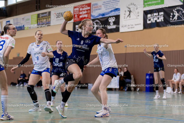 Handball I Frauen I Saison 2025-2026 I Verbandsliga Süd I 20. Spieltag I HSG Kalkberg 06 - Preetzer TSV 245 | Lea Celine Harm (8, HSG Kalkberg 06) - Realisiert mit Pictrs.com