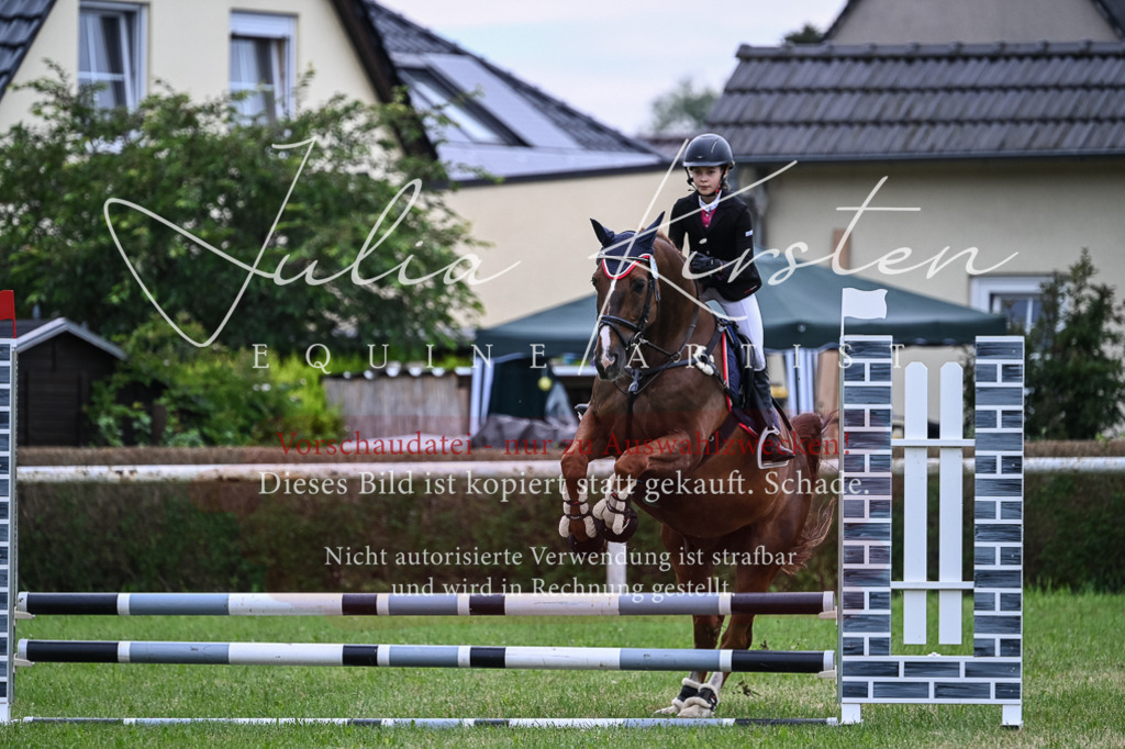 DSC_8527 | Pferde- und Turnierfotografie in Westsachsen. Pferdeportraits, Auftragszeichnungen und intuitive Kunst.
