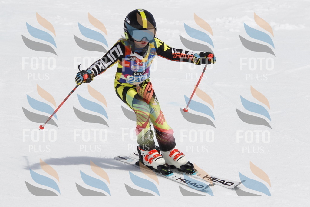 _U3G2821 | holidayphoto