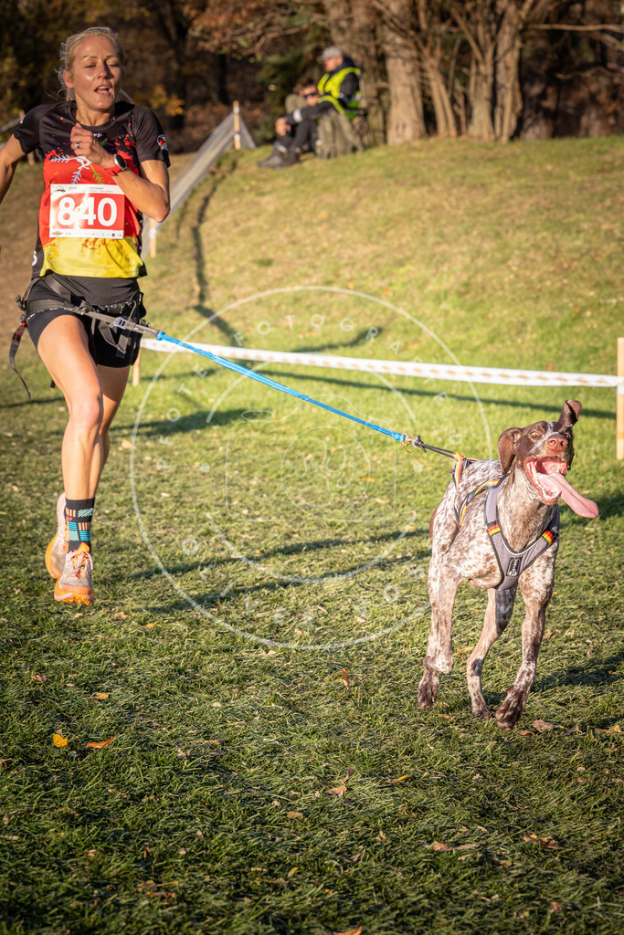 CaniXpix_0L8A0727 | Hundefotografie, Tierfotograf, Pfotenfotografie, Fotoshooting Hund, Hunde Portrait, Hundesport, Hundeportraits, Heideshooting, Hunde, Sportfotograf, Hundefotograf, Turnierhundsport, THS,  - Realisiert mit Pictrs.com