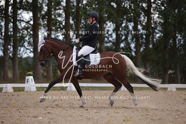 1J2A0894Charlotte Fehr_ Ikon 16_ Kn061_ Wöpkendorf_ Annalena Beier_ Quinn M_ Kn095 | Foto- und Videografie für alles rund ums Pferd. Hochwertige Bilder und Videos vom Spring- und Dressurreiten, Voltigieren & mehr. Jetzt aktuelle Veranstaltungen und Preise im Shop ansehen. - Realisiert mit Pictrs.com