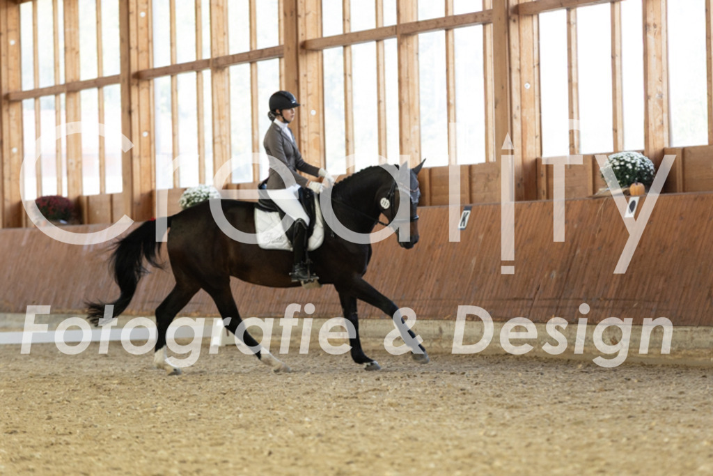 IMG_4744 | Creatify Fotografie