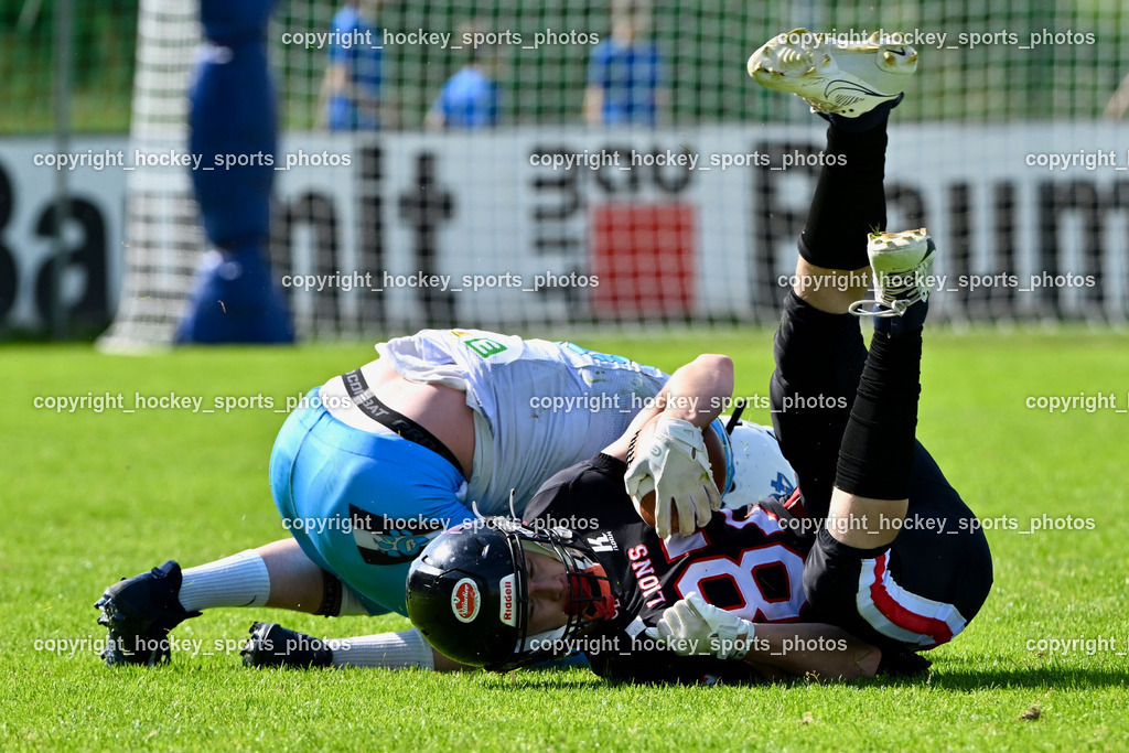 Carinthian Lions vs. Styrian Bears | Carinthian Lions vs. Styrian Bears, Carinthian Lions vs. Styrian Bears am 20.05.2024 in Klagenfurt (ASV Sportplatz), Austria, (Photo by Bernd Stefan)
