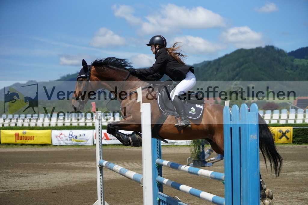 DSC06023 | equestrian-live-com