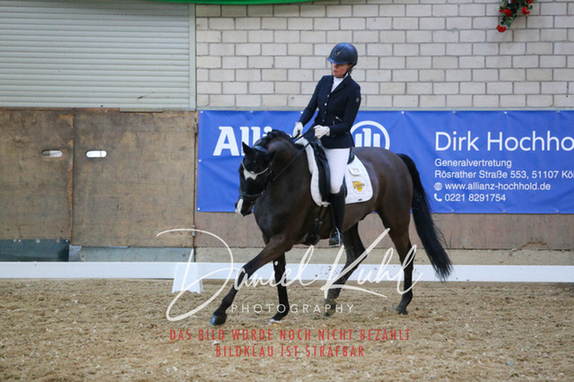 IMG_2673 | Turnierfotos kaufen im Webshop von Daniel Kuhl Photography – entdecke professionelle Reitsportfotos aus Turnieren & Events. Hochwertige Turnierbilder online bestellen & sichern. Jetzt Fotos von Reitsportturnieren kaufen!