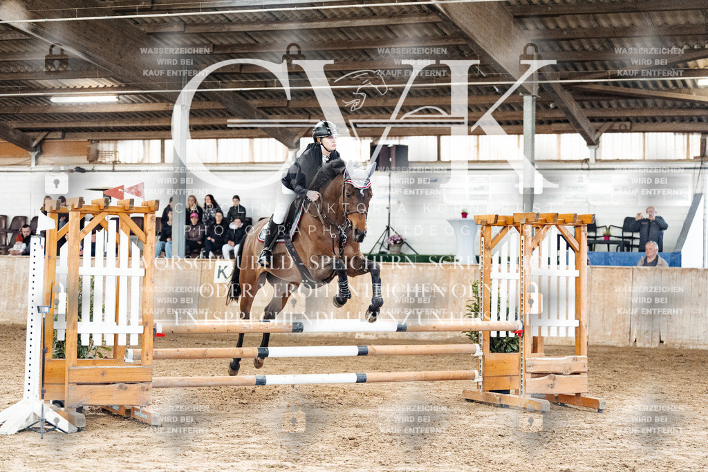 CK904387 | Turnierfotografie Pferdefotografie Trier Rheinland-Pfalz Pferdesport Reitsport Tierfotografie Sportfotografie Pferdevideo Pferdevideografie Equestrianvideography equestrianphotography  - Realized with Pictrs.com