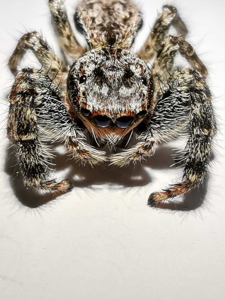 PSX_20230206_225743 | mtkfoto_ - Realisiert mit Pictrs.com