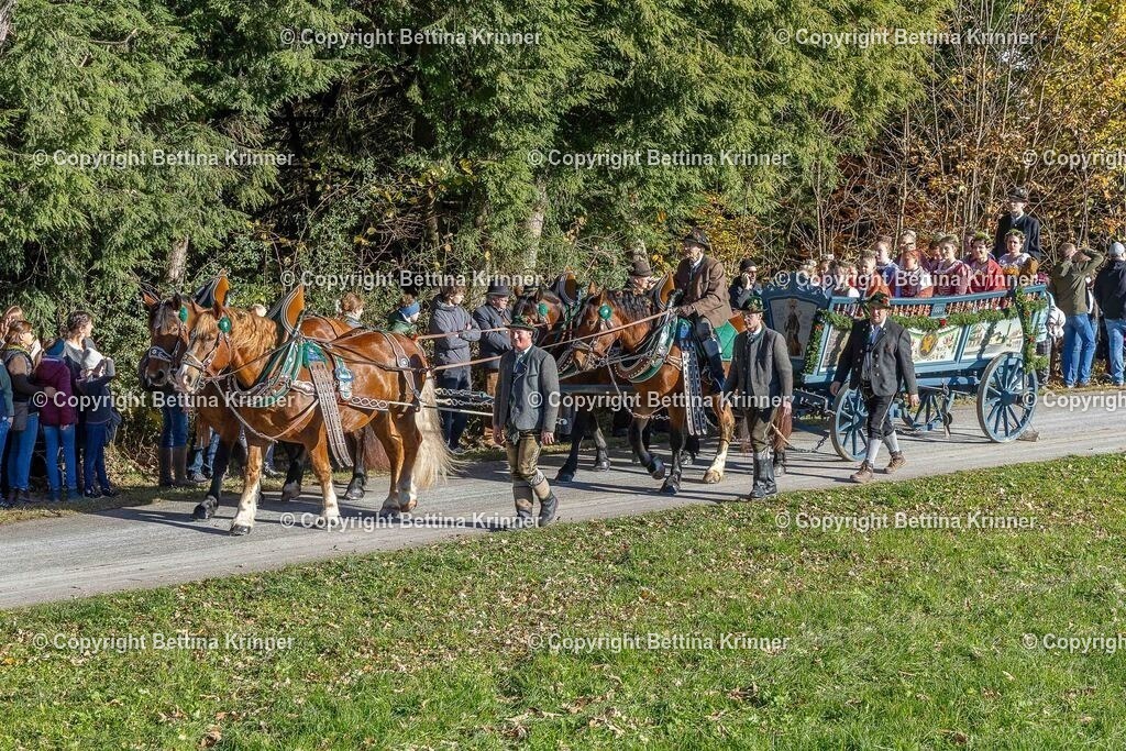 LBT25-485 | foto-bettina-krinner - Realisiert mit Pictrs.com
