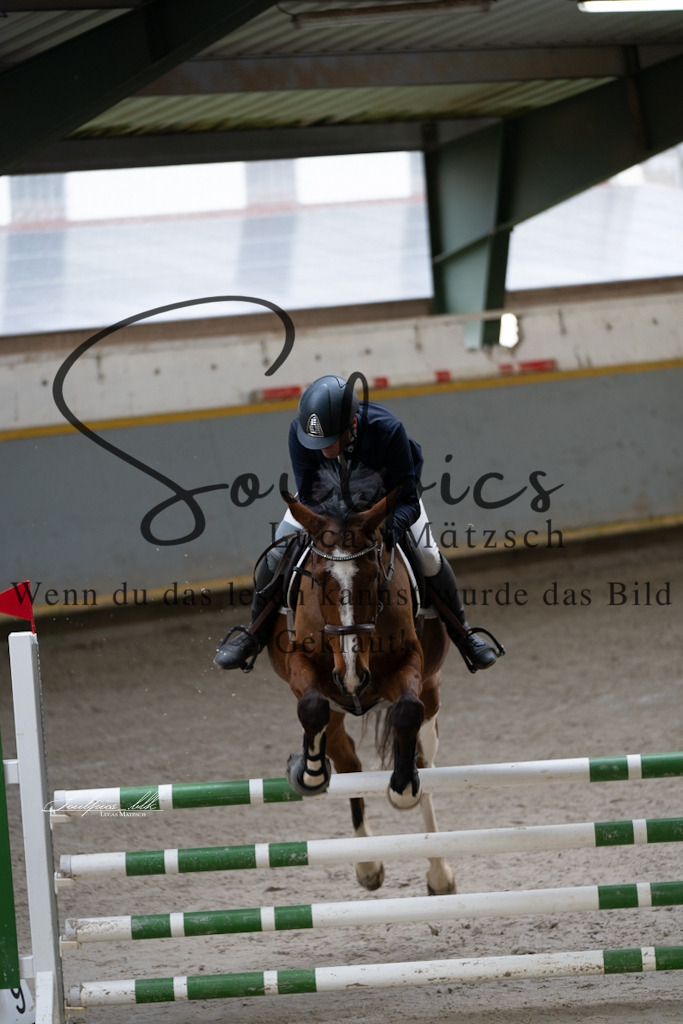 A7V01382 | Pferdefotograf