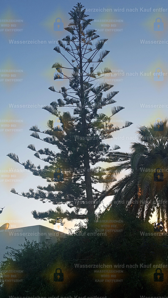 20181113_170929 | Fotoseite Wolkenblende - Das Hobby fotografieren begleitet mich schon  viele  Jahre. Auf den nächsten Seiten zeige ich ein paar Schnappschüsse der letzten Jahre und es kommen immer neue hinzu. Schau einfach mal rein. - Realisiert mit Pictrs.com