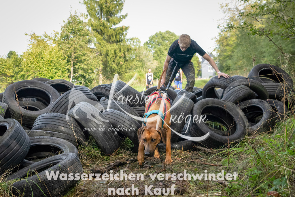 1512_ZZ91453-Bearbeitet | kk-dogfotos