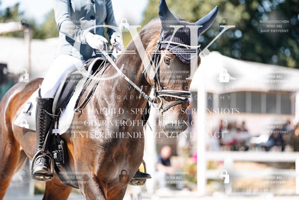 CK900137 | Turnierfotografie Pferdefotografie Trier Rheinland-Pfalz Pferdesport Reitsport Tierfotografie Sportfotografie Pferdevideo Pferdevideografie Equestrianvideography equestrianphotography  - Realisiert mit Pictrs.com
