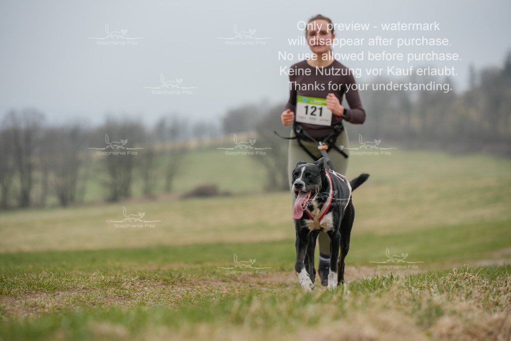 Canixlong-160 | stephaniefillaphotographie - Realisiert mit Pictrs.com