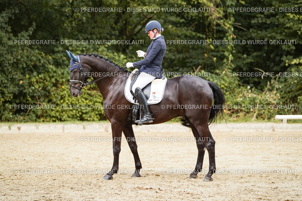 DSC00972 | Pferdegrafie