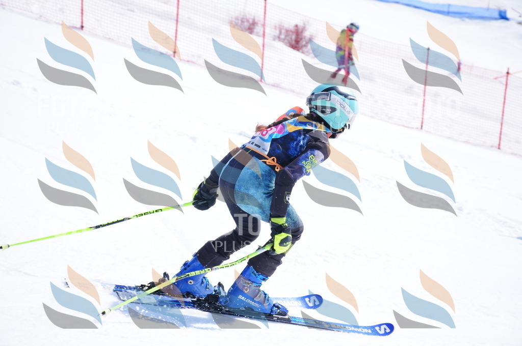 DSC_5254 | holidayphoto