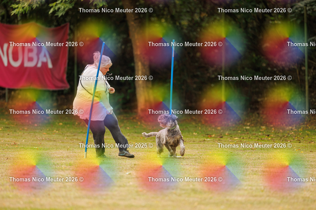 Thomas_Nico_Meuter(C)_22. August 2026_223A2489 | Bild von Thomas Nico Meuter - Realisiert mit Pictrs.com