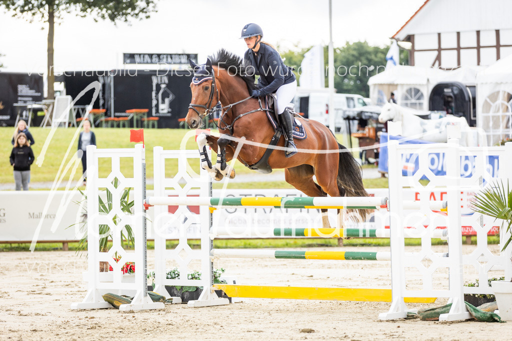 BHO-2PhSpr-M-5-2099 | MomenTaufnahmen Pferdesportfotos