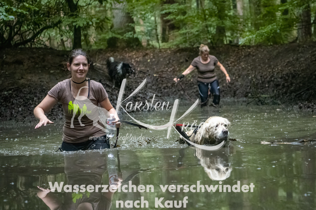 1156_ZZ90168-Bearbeitet-2 | kk-dogfotos