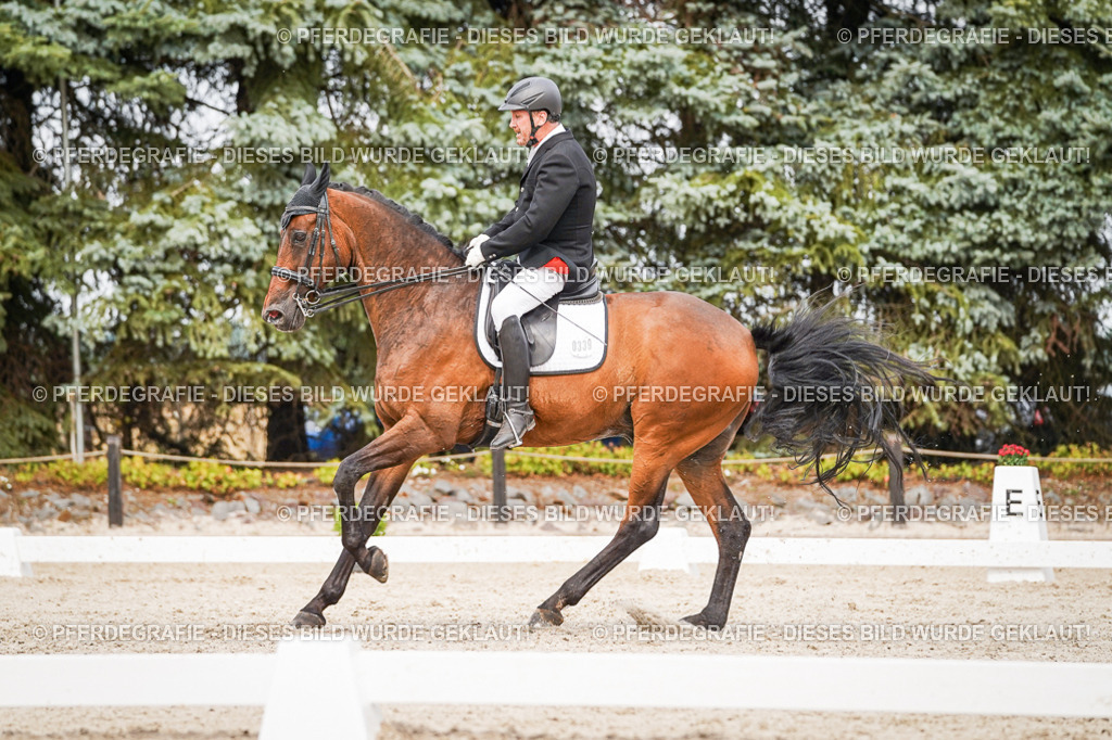 DSC07169 | Pferdegrafie