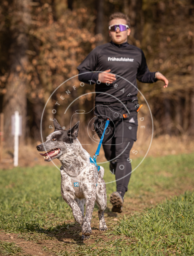 DV3A6237 | Hundefotografie, Tierfotograf, Pfotenfotografie, Fotoshooting Hund, Hunde Portrait, Hundesport, Hundeportraits, Heideshooting, Hunde, Sportfotograf, Hundefotograf, Turnierhundsport, THS,  - Realisiert mit Pictrs.com