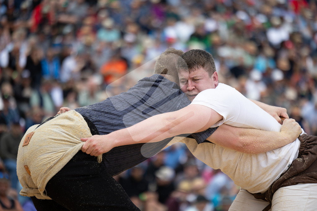 Rigi2025_1595 | Die Schwinger des Schwyzer Kantonalen Schwingerverbandes: Fotos, die Dynamik und Leidenschaft festhalten, sowie emotionale Momente aus dem traditionellen Schwingsport zeigen. - Realisiert mit Pictrs.com