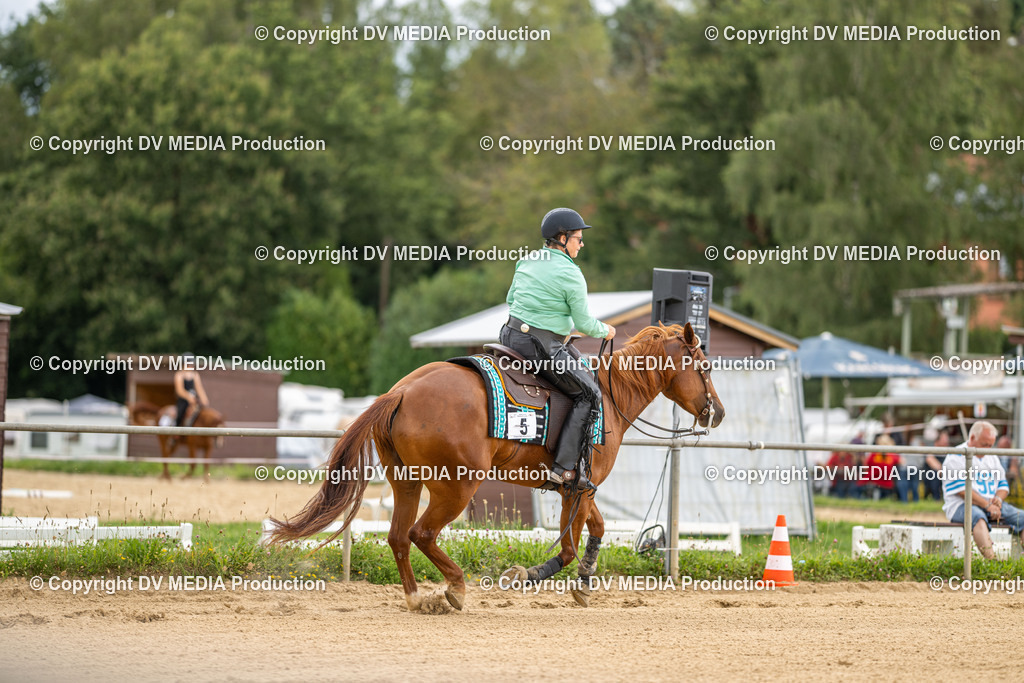 LM Heiligenwald Tag 2-908 | dv-media-shop - Realisiert mit Pictrs.com