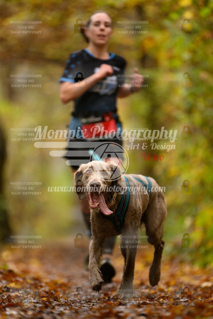 MompixPhotography_CD7S_DI_CCL-41 | mompixphotography