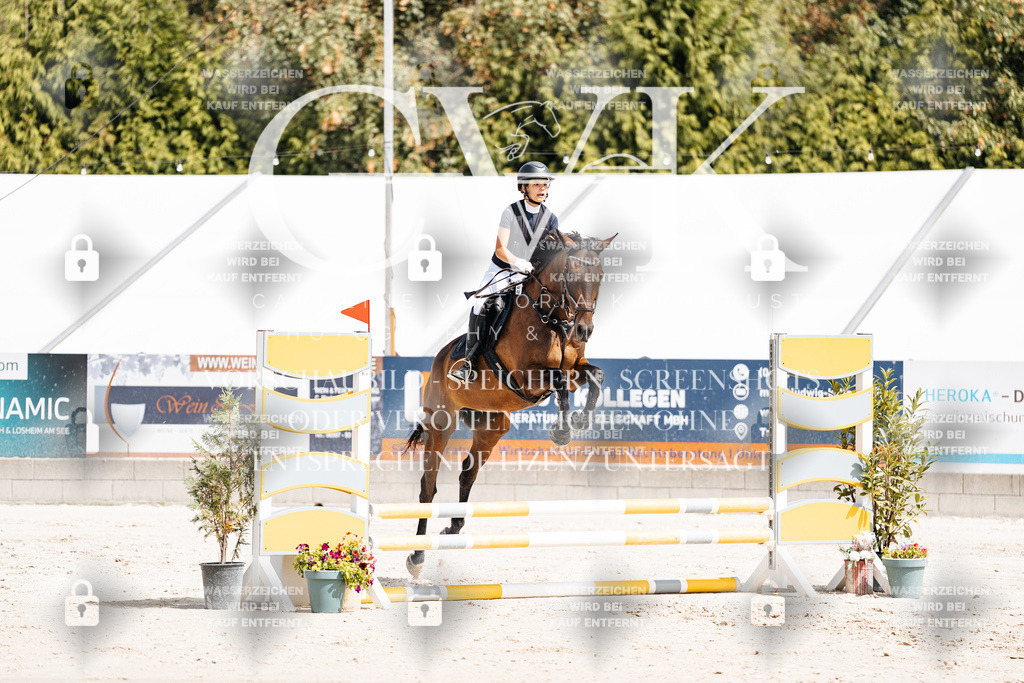 CK906240 | Turnierfotografie Pferdefotografie Trier Rheinland-Pfalz Pferdesport Reitsport Tierfotografie Sportfotografie Pferdevideo Pferdevideografie Equestrianvideography equestrianphotography  - Realisiert mit Pictrs.com