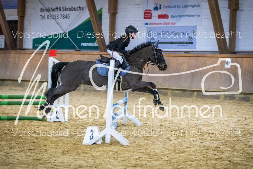 Sth-WBO25-Spr65cm-054 | MomenTaufnahmen Pferdesportfotos