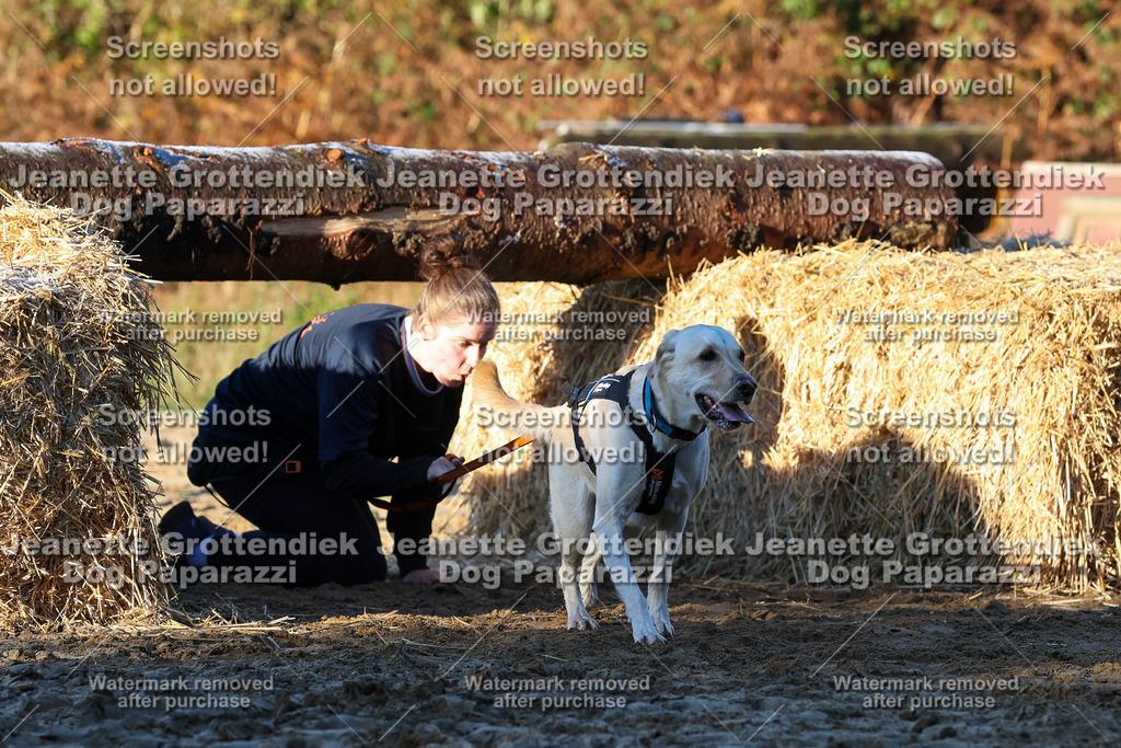 Dog Paparazzi - Strongdog 10-25-800 | Dog Paparazzi Jeanette Grottendiek Fotografie & Videografie - Realisiert mit Pictrs.com