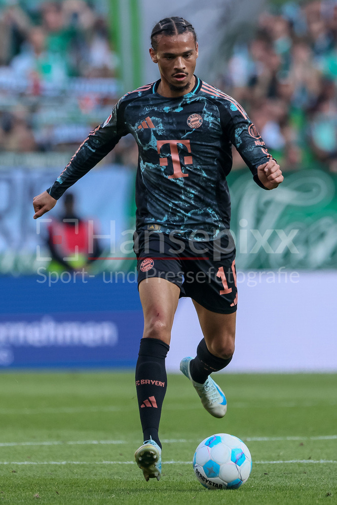 Fussball, Bundesliga, SV Werder Bremen - FC Bayern München | v.li.: Leroy Sane (FC Bayern München, 10) am Ball, Freisteller, Einzelbild, Ganzkörper, Aktion, Action, Spielszene, DIE DFL-RICHTLINIEN UNTERSAGEN JEGLICHE NUTZUNG VON FOTOS ALS SEQUENZBILDER UND/ODER VIDEOÄHNLICHE FOTOSTRECKEN. DFL REGULATIONS PROHIBIT ANY USE OF PHOTOGRAPHS AS IMAGE SEQUENCES AND/OR QUASI-VIDEO.