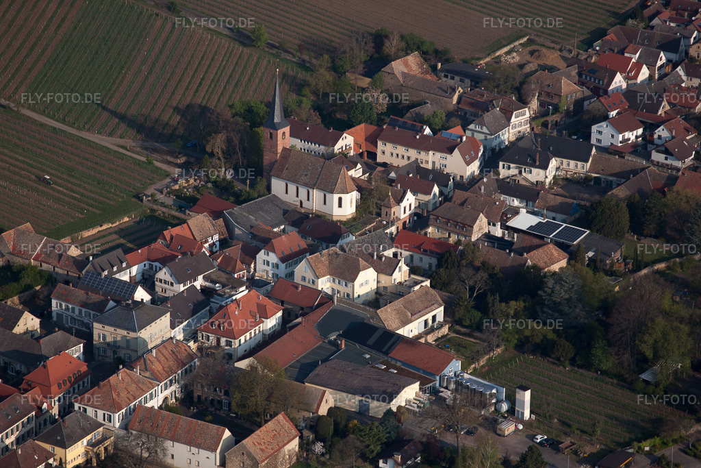 Luftbild: Weinbergen in Forst an der Weinstraße im Bundesland Rheinland-Pfalz in Deutschland. Foto: IMG_49635.jpg vom 13.04.2012 durch Werner Riehm/FLY-FOTO.de