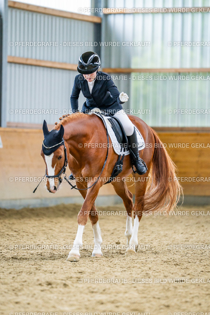 DSC04796 | Pferdegrafie