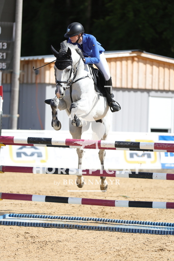 0P6A5450 | Willkommen bei Brunnmayr - Design & Fotografie – Ihrem Spezialisten für Reitturniere und Pferdeveranstaltungen in Oberösterreich, Salzburg und Bayern! Seit über 17 Jahren sind wir leidenschaftlich dabei.