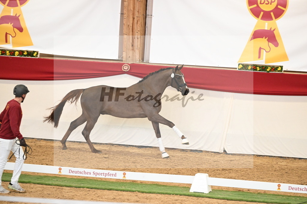 Kat.-Nr. 58 v. Floricello_Heilemann_2250342 | hf-fotografie - Realisiert mit Pictrs.com