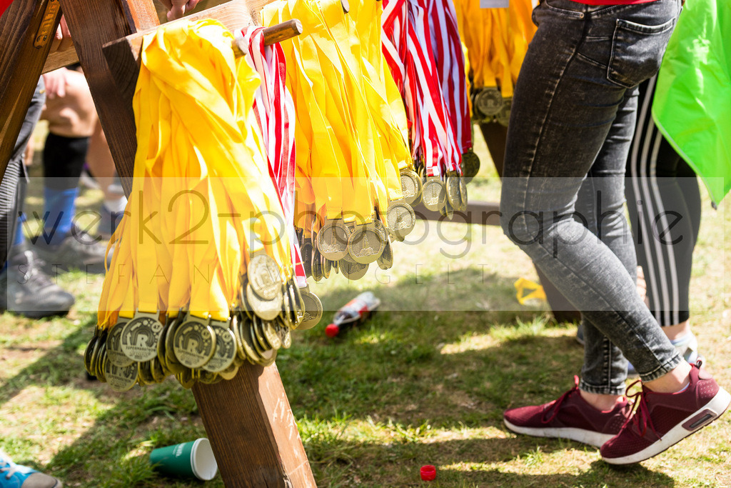 Rennsteiglauf 2019 | Marathon Neuhaus/Rwg. - Schmiedefeld am 18. Mai 2019