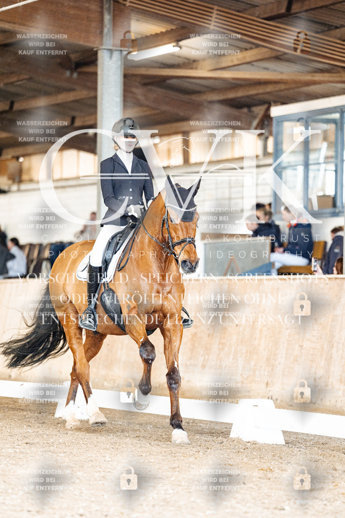 CK901081 | Turnierfotografie Pferdefotografie Trier Rheinland-Pfalz Pferdesport Reitsport Tierfotografie Sportfotografie Pferdevideo Pferdevideografie Equestrianvideography equestrianphotography  - Realisiert mit Pictrs.com