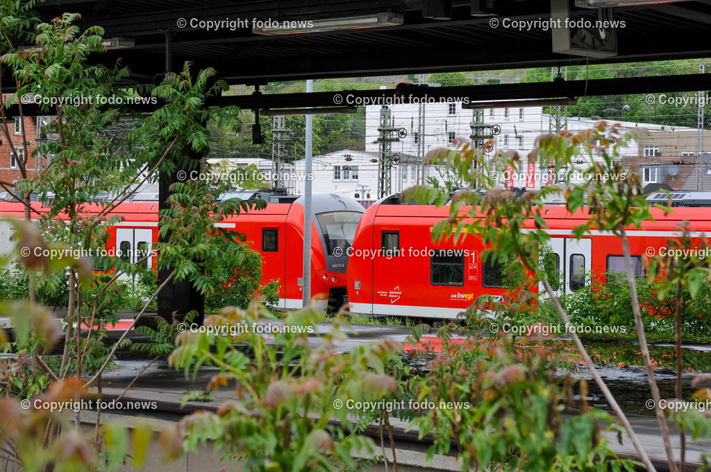 Deutschland_ Bayern_ Wuerzburg_ 12.06.2024-27 | 12.06.2024, Deutschland, GER, Bayern, Wuerzburg im Bild Stadtansichten, Gebauede, Main, Bruecke, Universitaet, Bahnhof, Kaeppele, Marienberg, Festung, Spital, Museum, Sehenswuerdigkeiten, Reise, Feature, Travel, City, Kirche, Church, Dom, kreisfreie Stadt in Bayern, Bezirk Unterfranken