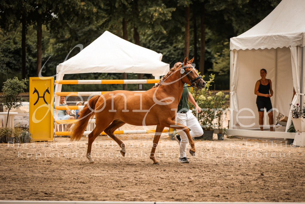 10.-12.Elite00082 | Leoni Ertmer Photography - Realisiert mit Pictrs.com