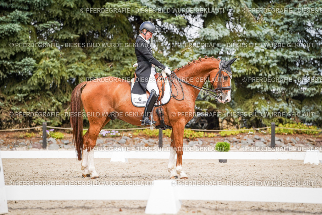 DSC06537 | Pferdegrafie