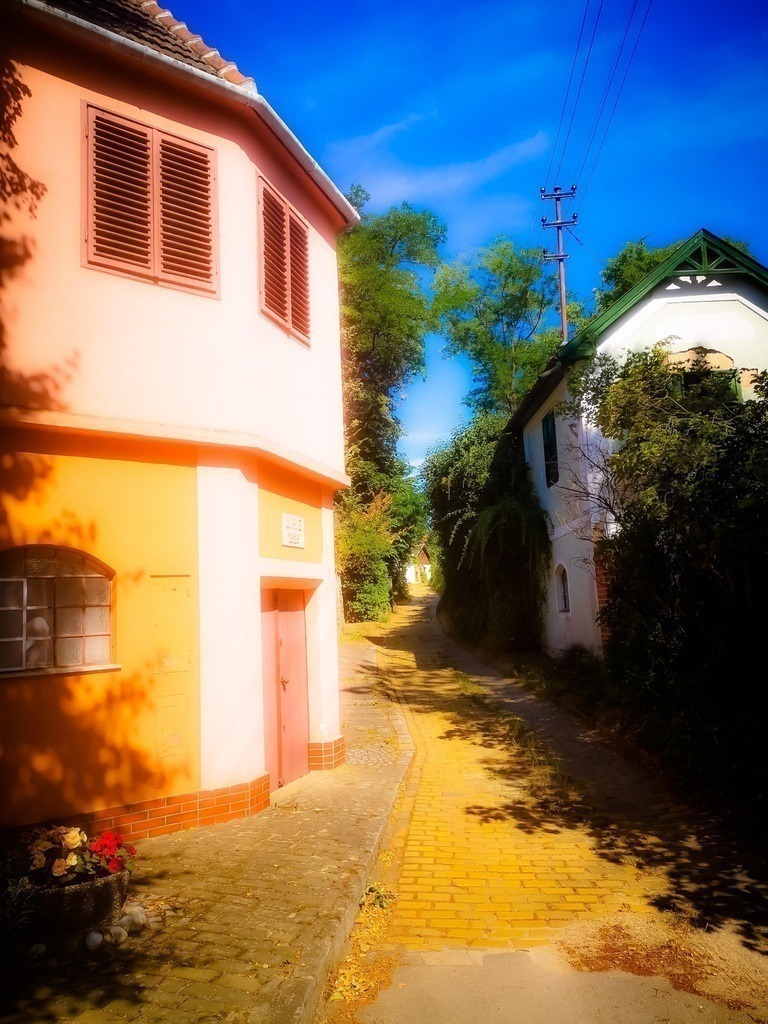 path through the wine cellars | Künstler/in Member of AKM/austromechana. Troubadour. 2026 a fascinating journey began with Tatjana my AI muse✨ METISSIREN set sails and left the harbor ⛵